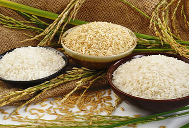 Rice